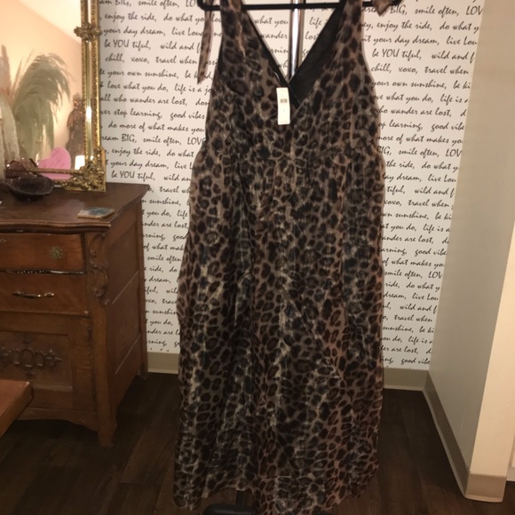 Daniel Rainn V-Neck Organza Dress - Picture 10 of 11